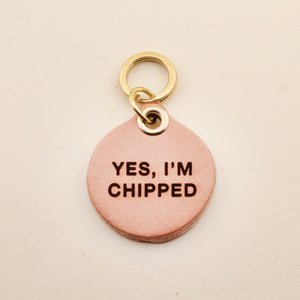 Yes, I'm Chipped Pet Tag in Leather | Freshwater