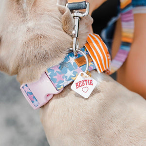 Personality acrylic Bestie Pet ID Tags | Freshwater